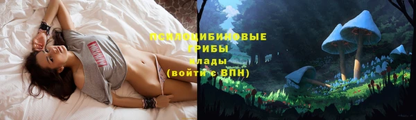 крисы Абдулино