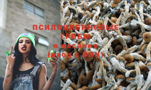дистиллят марихуана Алзамай